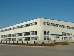 Long Span Steel Structural Buildings