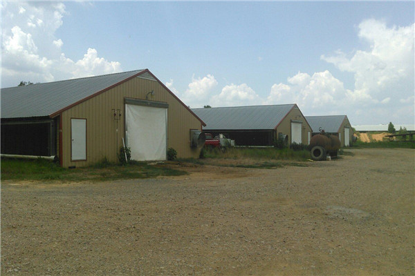 agriculture dairy cattle house