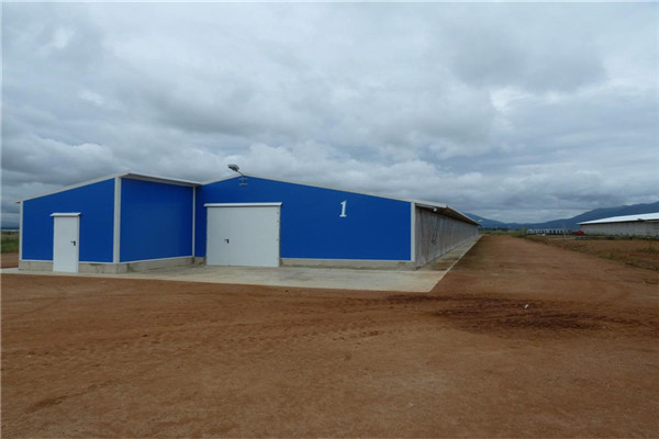 Chicken house