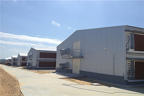 Chicken house