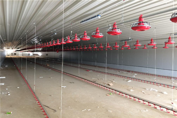 poultry farm shed