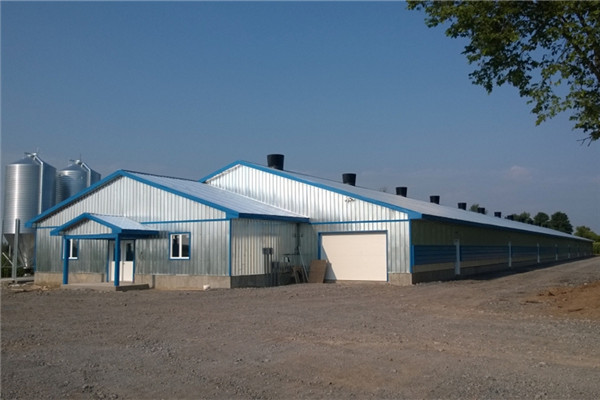poultry farm shed
