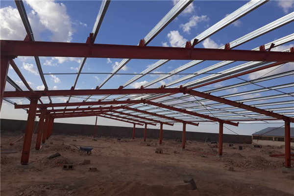commercial chicken shed