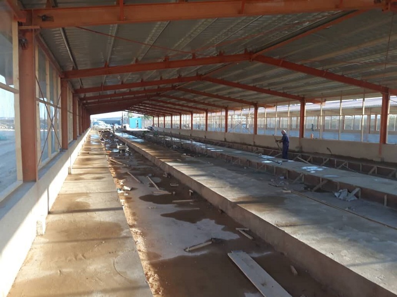 Broiler coop | Poultry farm shed house | Chicken pen house