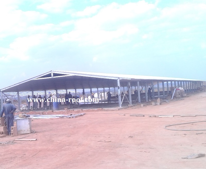 Broiler coop | Poultry farm shed house | Chicken pen house