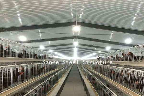 china commercial Poultry Chicken Shed barn houses manufacturer for Broiler Chicken / Pullet Poultry / Layer Chicken